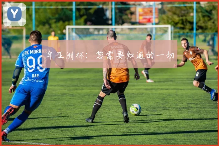 年亚洲杯：您需要知道的一切